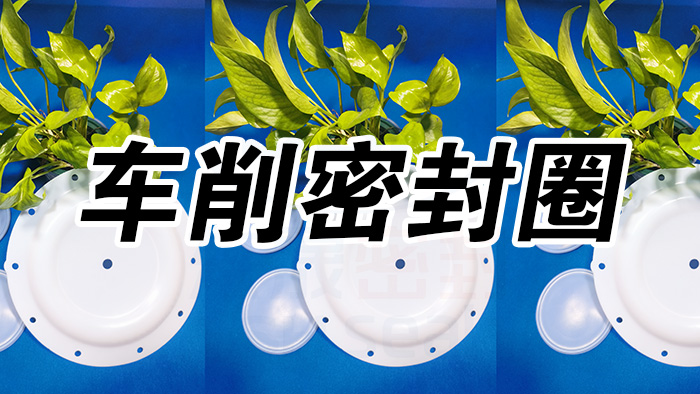 2車削密封圈，氣動(dòng)隔膜泵膜片密封件